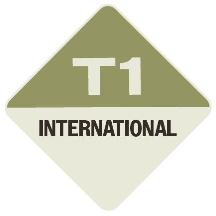 T1 International sticker in green