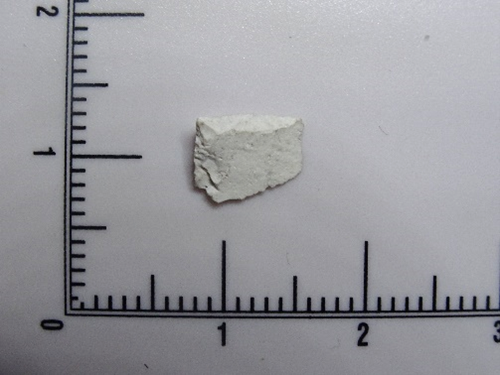 Fossiliferous chert scraper: approx. 20,000+ years