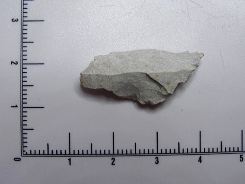 Fossiliferous chert utilised complete flake: approx. 13,000 years