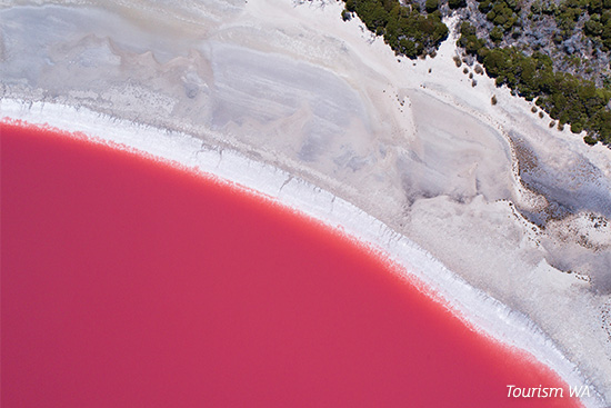 Aerial view of Lake Hillier, Middle Island near Esperance