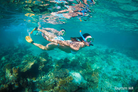 Snorkelling at Turquoise Bay near Exmouth