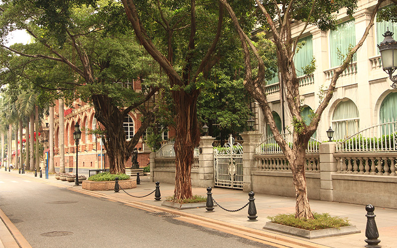 Street view of the historic Shamian Island district in Guangzhou