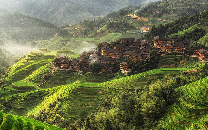 Aerial view of Longji Rice Terraces