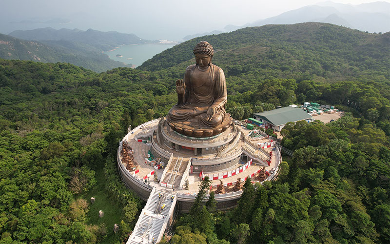 Big Buddha surrounded by lush green forest