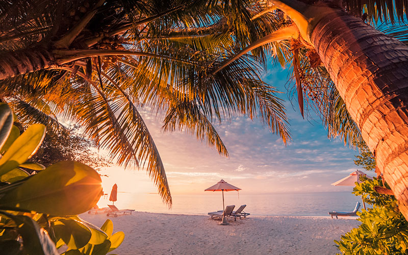 Sunset on a sandy beach in Mauritius with greenery chairs in foreground 