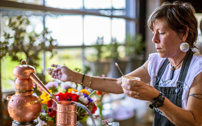 Woman working at Waiheke Island distillery, vineyards and breweries, North Island, New Zealand