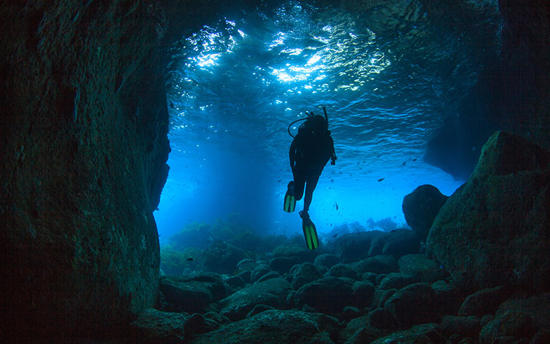 Scuba diver exploring around Poor Knights Island, North Island, New Zealand