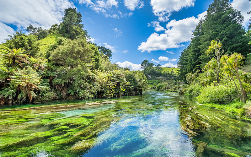 Waters of the Waihou River in the Waikato Region on North Island, New Zealand