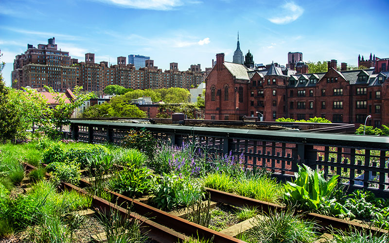 New York's High Line public park in Summer
