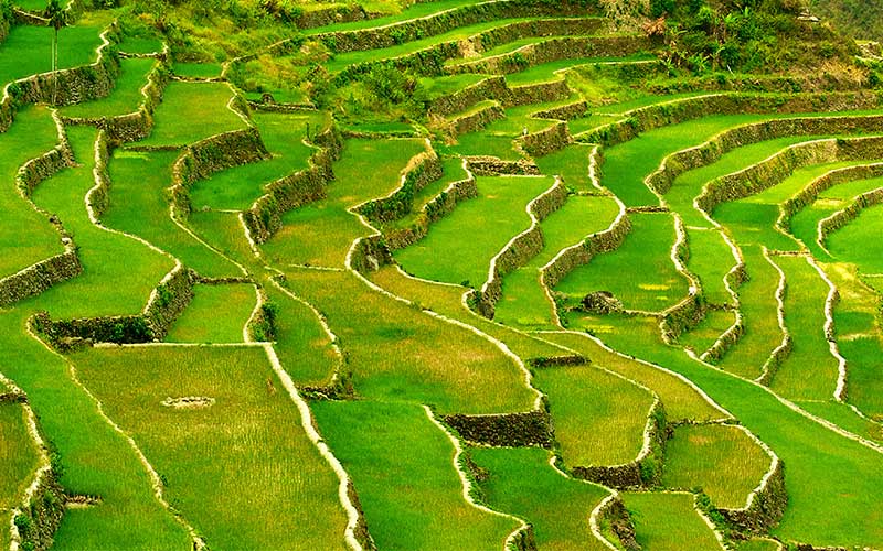 2,000-year-old Banaue Rice Terraces, Ifugao, Philippines