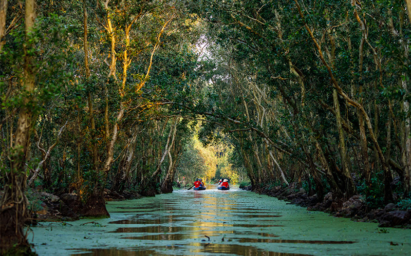 Kayaks in the middle of the Mekong Delta, Vietnam