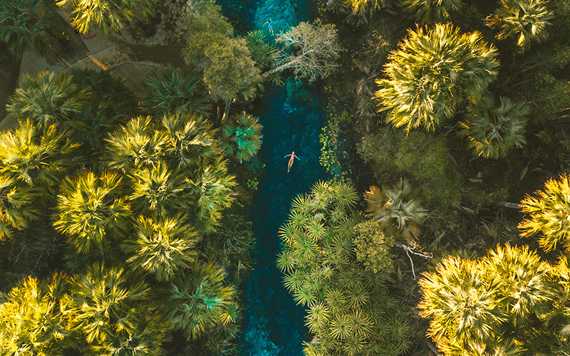 Bitter Springs in Elsey National Park