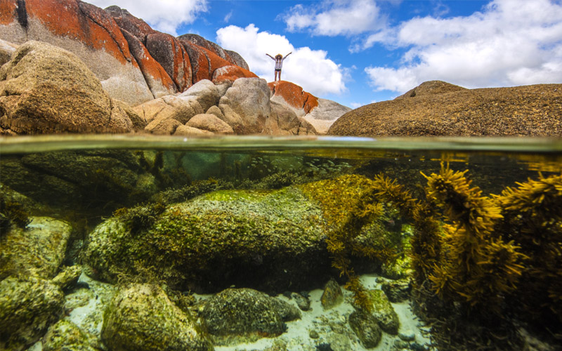 Bay of Fires - Sean Scott