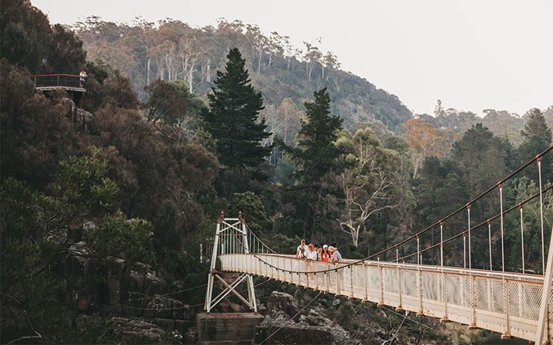 Cataract Gorge in Tasmania. Large trees in background with people walking across bridge. 