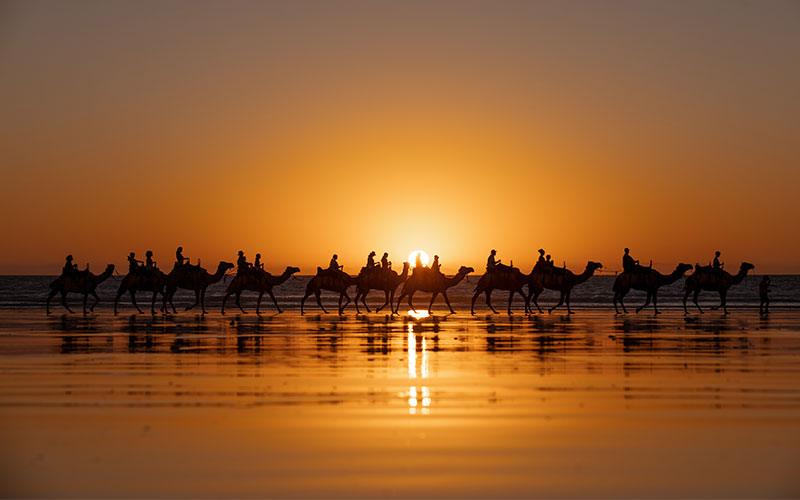 People riding camels at sunset on the beach at Broome