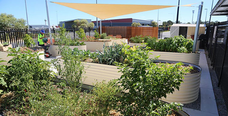 Community Garden